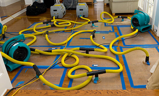Professional Burst Pipe Water Damage technician working in Christiana, TN